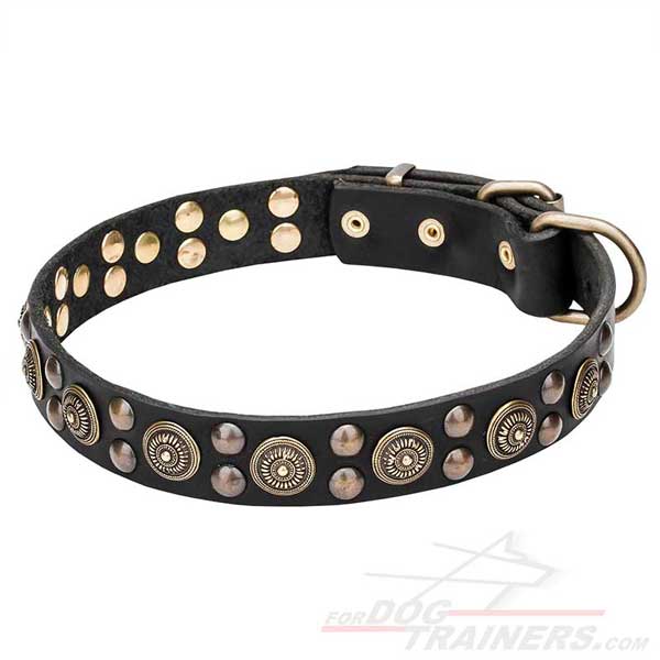 Stylish Dog Collar with Golden-Like Decor