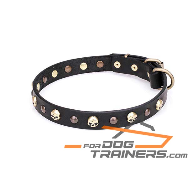 Trendy Dog Collar Decorated with Studs and Skulls