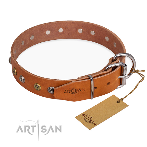 Leather Dog Collar with Chrome Plated Steel Fittings