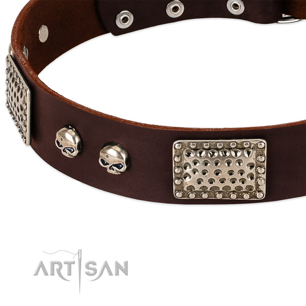 Brown Leather Dog Collar for Walking