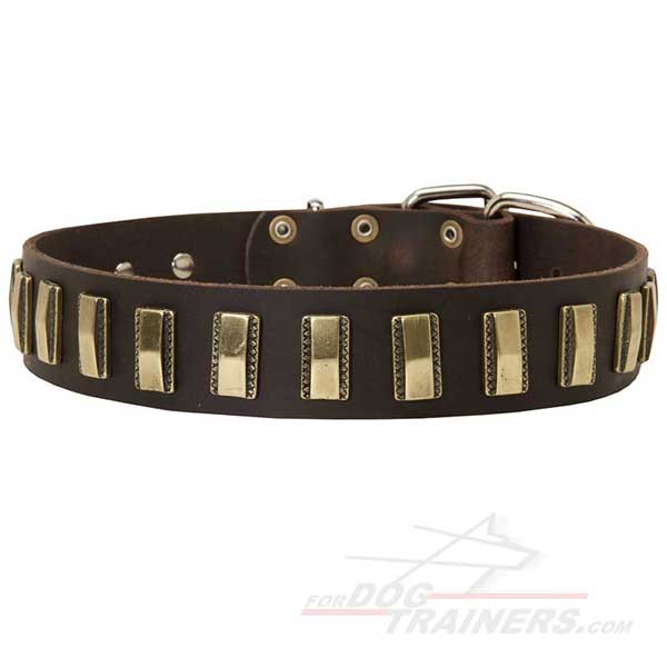 Decorated Leather Dog Collar with Designer Brass Vertical Plates