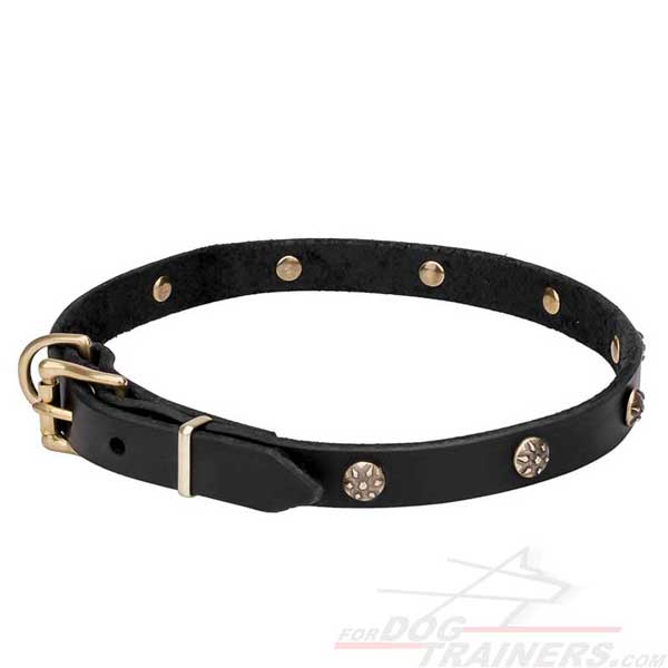 Dog Narrow Leather Collar with Rivets