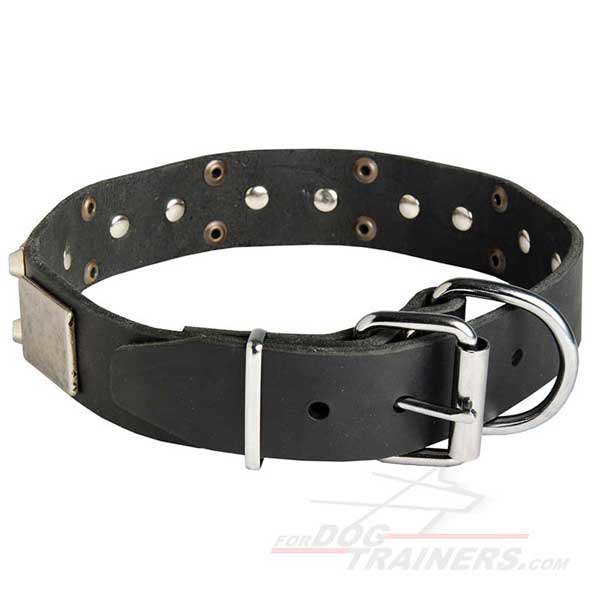 Dog Leather Collar for Pitbull Nickel Plated Decor