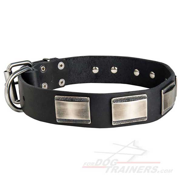 Decorated Leather Dog Collar Nickel Plated