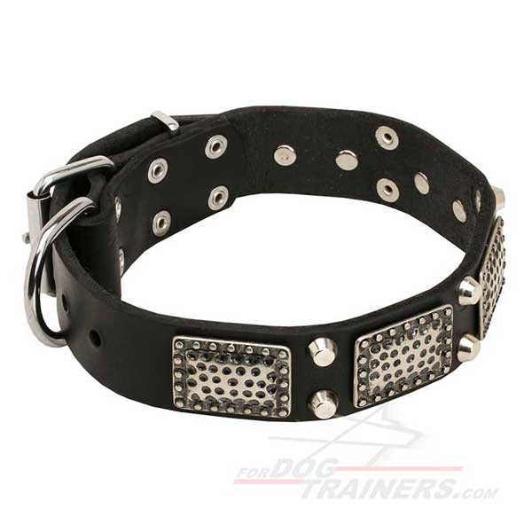 Leather Dog Collar with Nickel Plated Pyramids and Studs