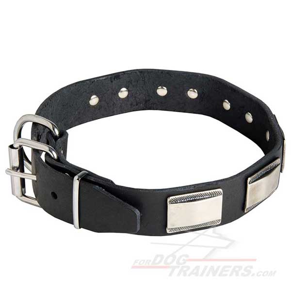 Leather Dog Collar Nickel Plated Hardware