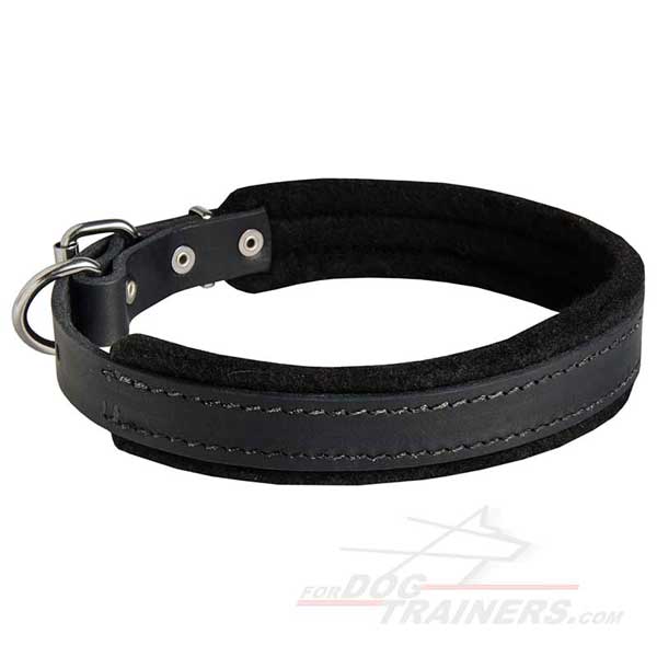 Padded Leather Dog Collar Carefully Stitched