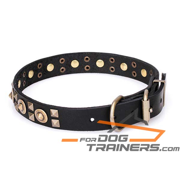 Riveted Leather Dog Collar