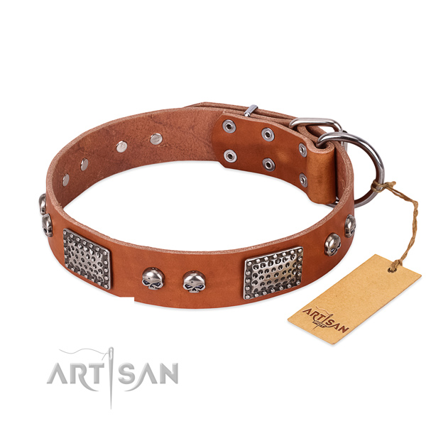 Tan Dog Collar with Chrome Plated Fittings