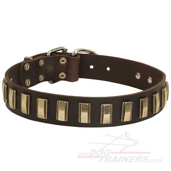 Walking Leather Dog Collar Designer Dog Gear