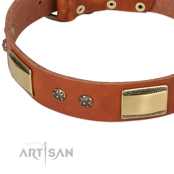 Brass Look Decor on Tan Dog Collar