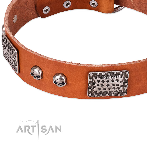 Old Silver Look Decor on Tan Leather Dog Collar