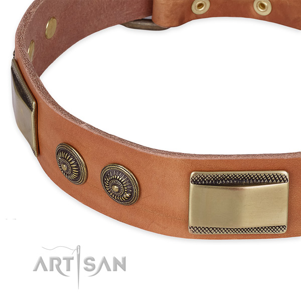 Fashionable Leather Dog Collar