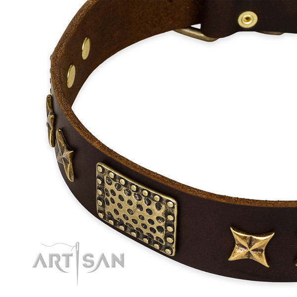 Royal Design Dog Collar with Bronze Look Decor