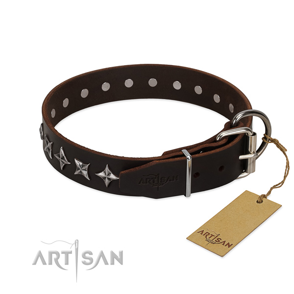 Brown leather FDT Artisan dog collar with chrome-plated fittings