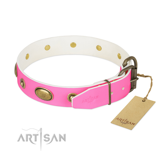 Decorative Leather Dog Collar with Dependable Fittings