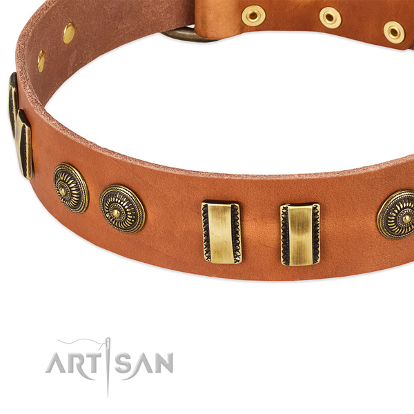 Comfy tan leather dog collar with decorations
