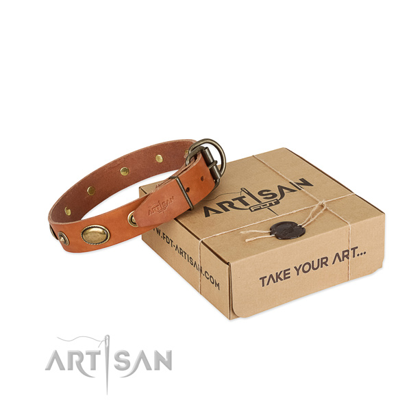 Comfortable and Safe Leather Dog Collar for Walking