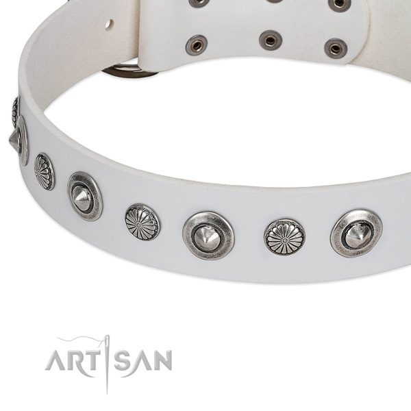 Chrome-plated conchos on white FDT Artisan leather dog collar