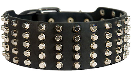 Dog collar leather super wide