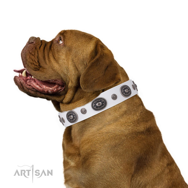 Dogue de Bordeaux top quality full grain natural leather dog collar with embellishments