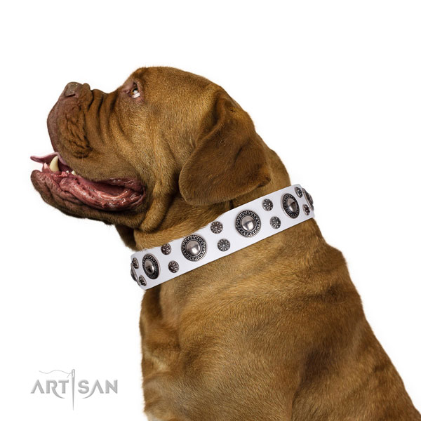 Dogue de Bordeaux stylish design leather dog collar with embellishments