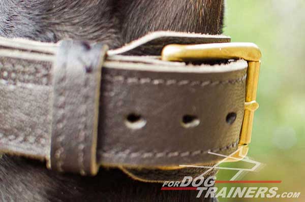 Extra wide 2 ply leather collar for Doberman