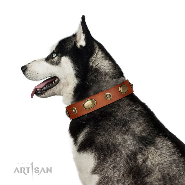 Husky easy wearing dog collar of remarkable quality leather