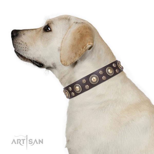 Labrador adjustable full grain leather dog collar with decorations