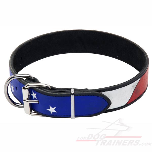 Stylish Leather Cane Corso Collar with a Steel Nickel Plated Buckle