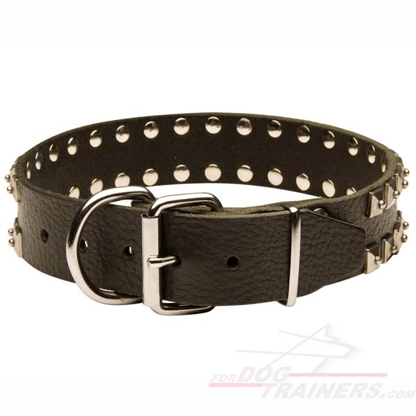  Strong Leather Dog Collar with Riveted Hardware