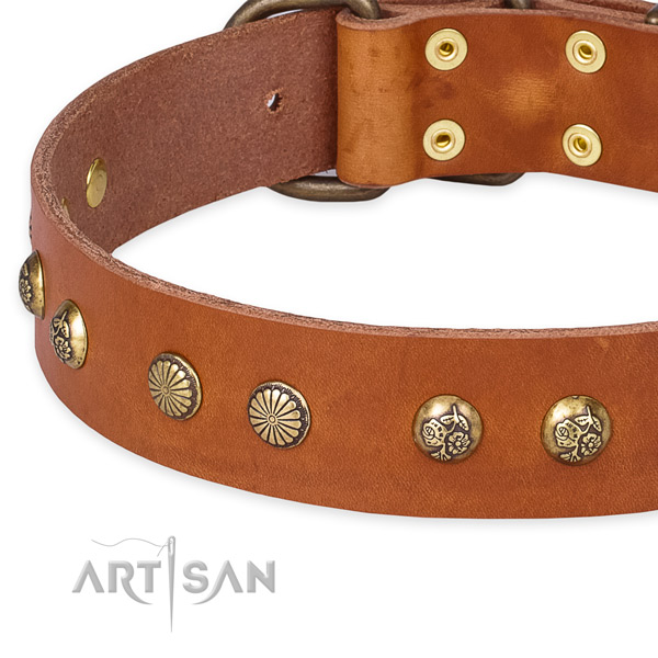 Genuine Leather Dog Collar