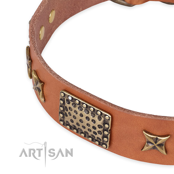 Perfectly Oiled Leather Dog Collar