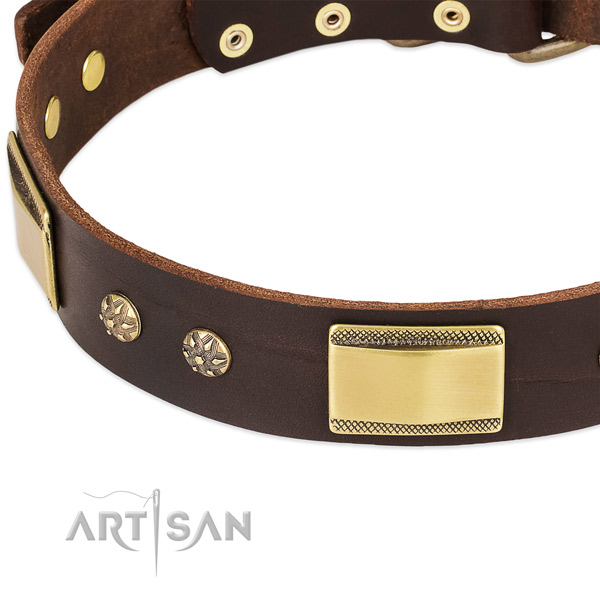 Best Quality Dog Collar with Plates
