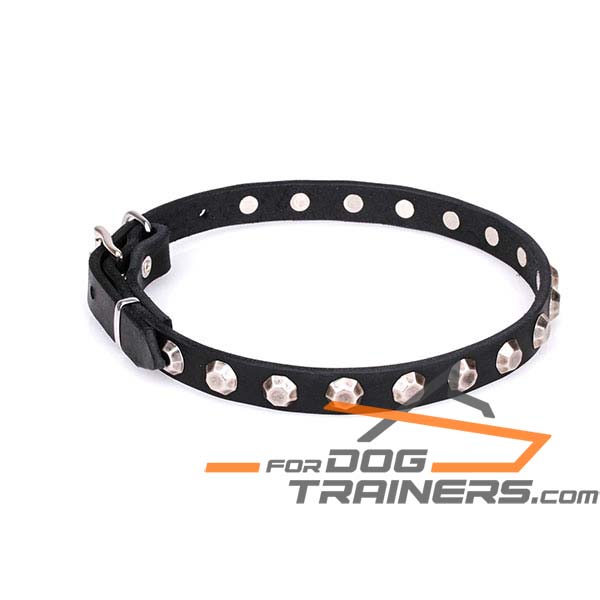 Comfortable leather dog collar