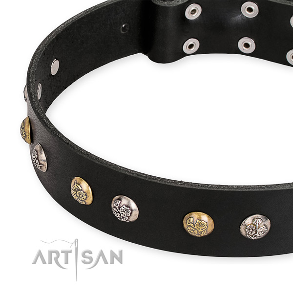 Black leather dog collar with riveted hardware