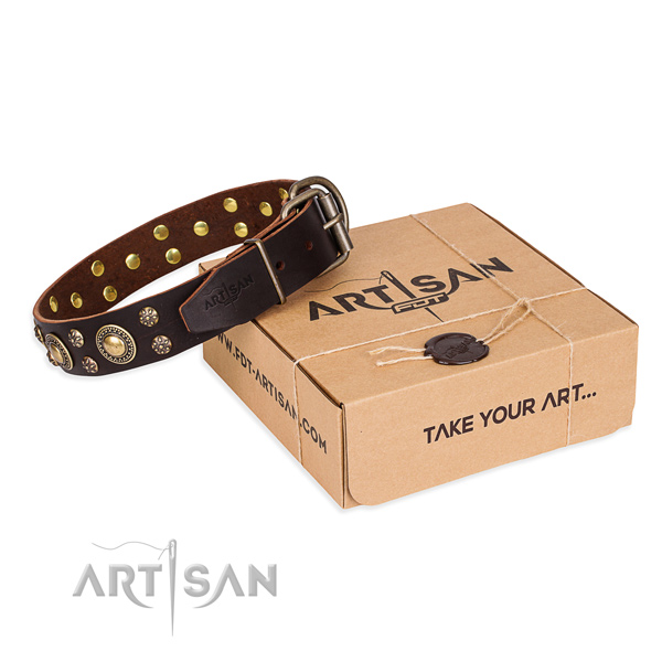 Convenient brown leather dog collar