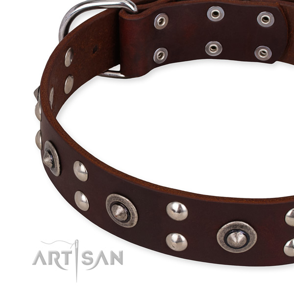Brown leather dog collar with riveted decorations