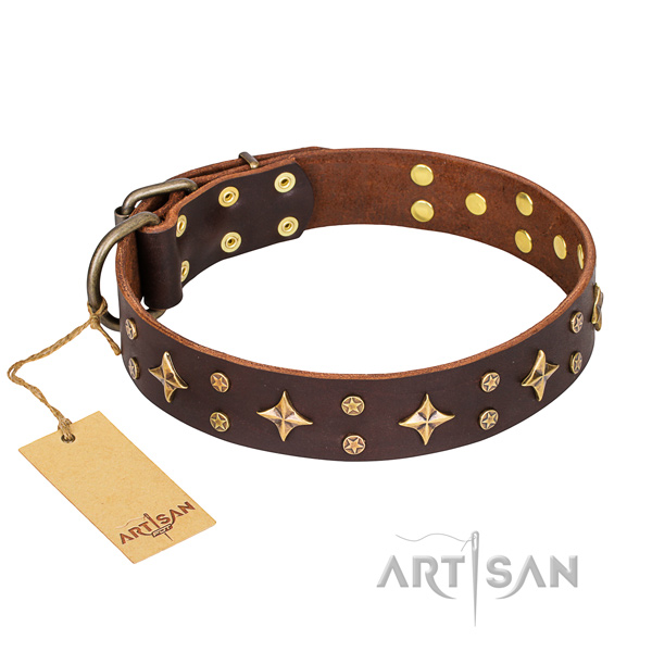Decorated leather dog collar for stylish walking