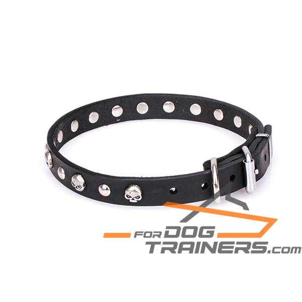 Sturdy leather dog collar 