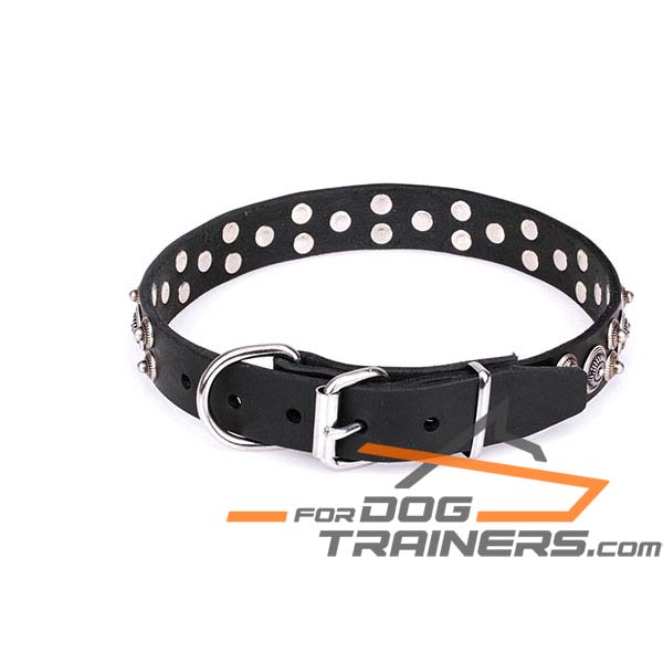 Sturdy and Resistant Leather Dog Collar 