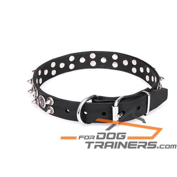 Comfortable buckled leather dog collar