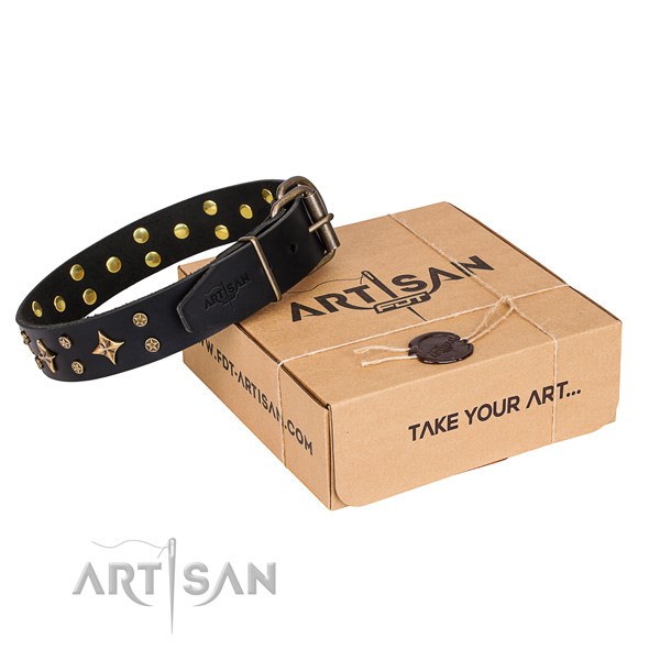 Refined black leather dog collar with decorations