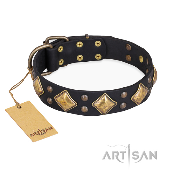 Black leather dog collar with golden-like decorations