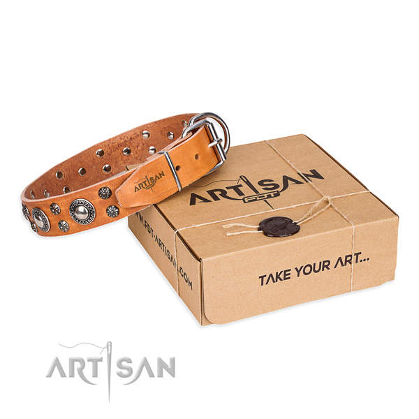 Tan leather dog collar made for stylish look
