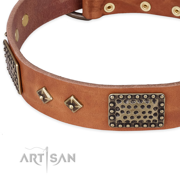 Tan leather dog collar with riveted hardware