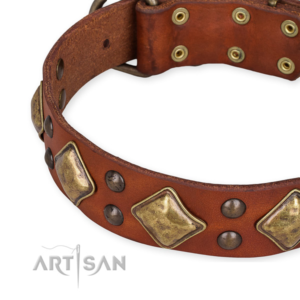 Adjustable tan leather dog collar