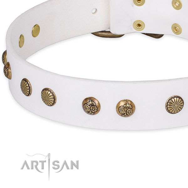 White leather dog collar for trendy walking