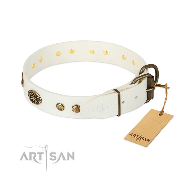 White leather dog collar with old bronze-like plated fittings