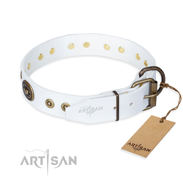 White leather dog collar with strong hardware
